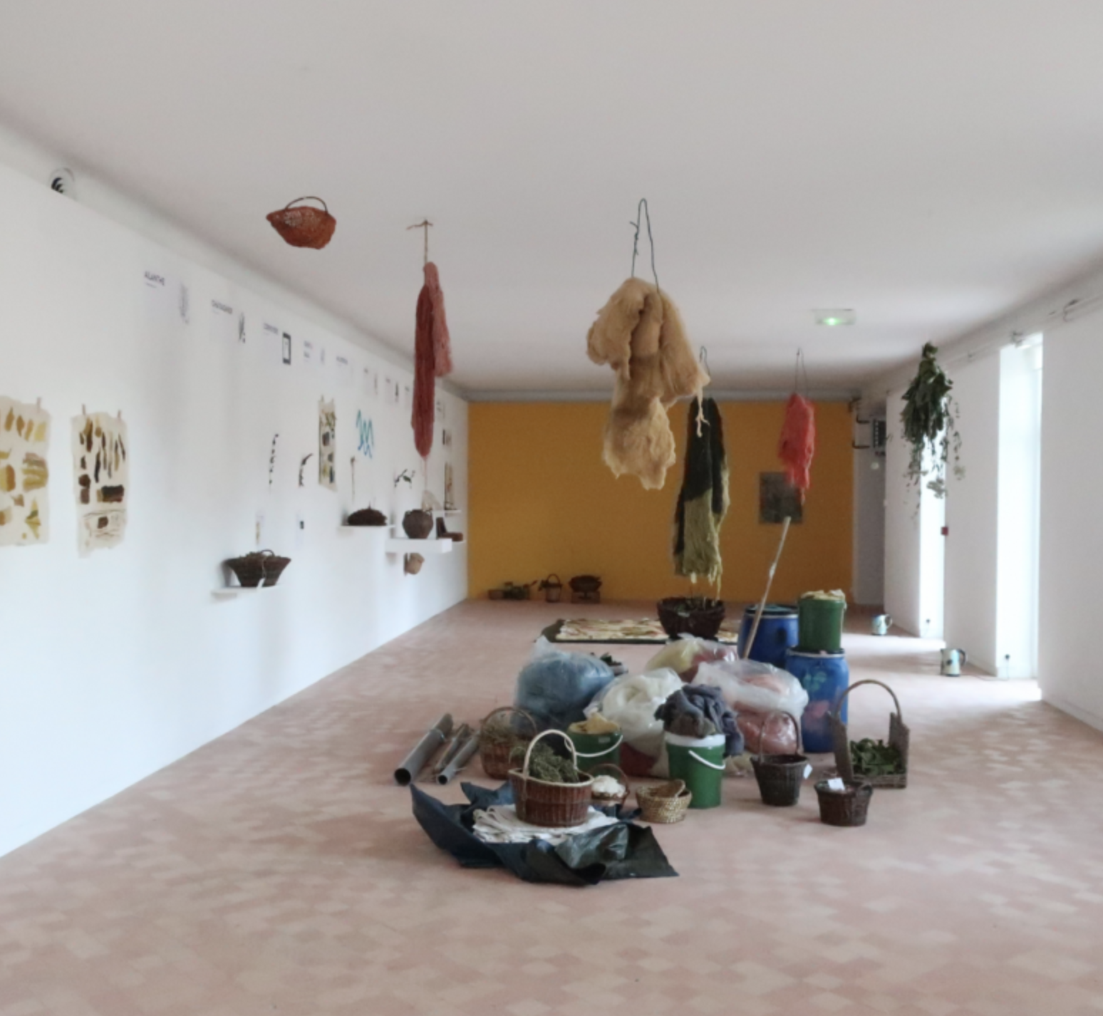 © Natsuko UCHINO. Pech merle, 2020 (installation teinture végétale sur laine) dans le cadre de l'exposition faire communs, MAGCP Cajarc