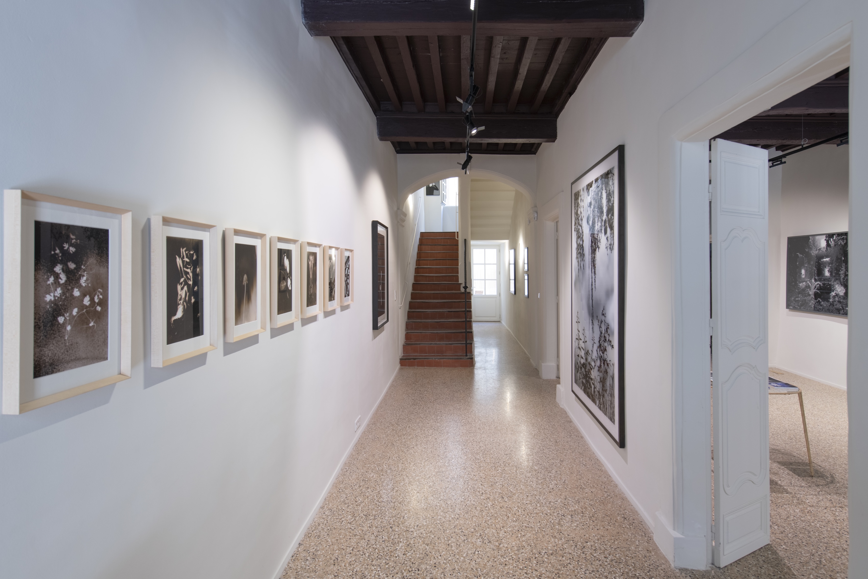 Exhibition View