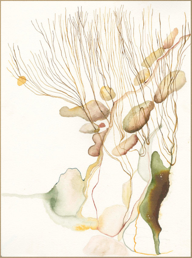 D.Busarello