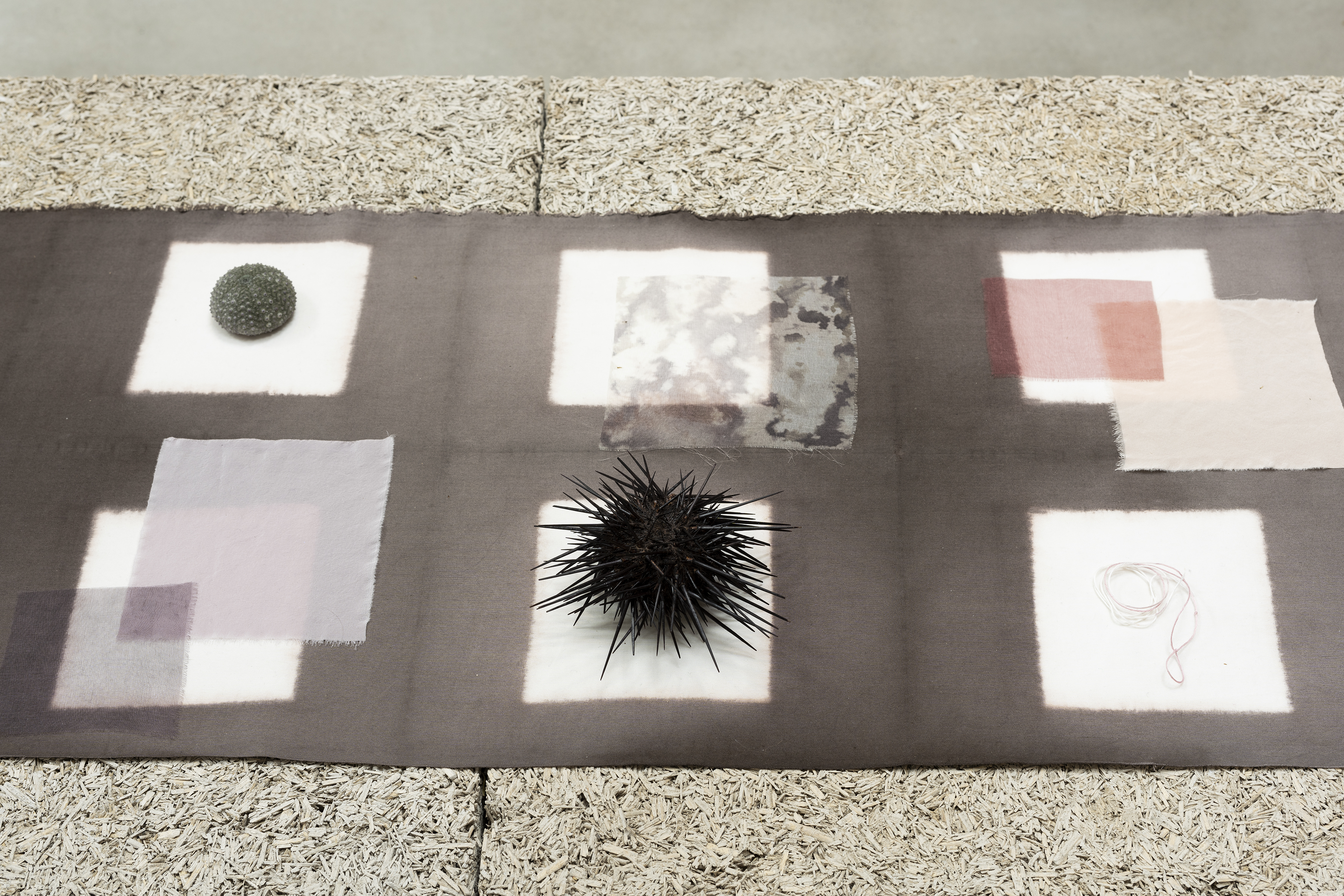 Regenerative future, vue d'exposition