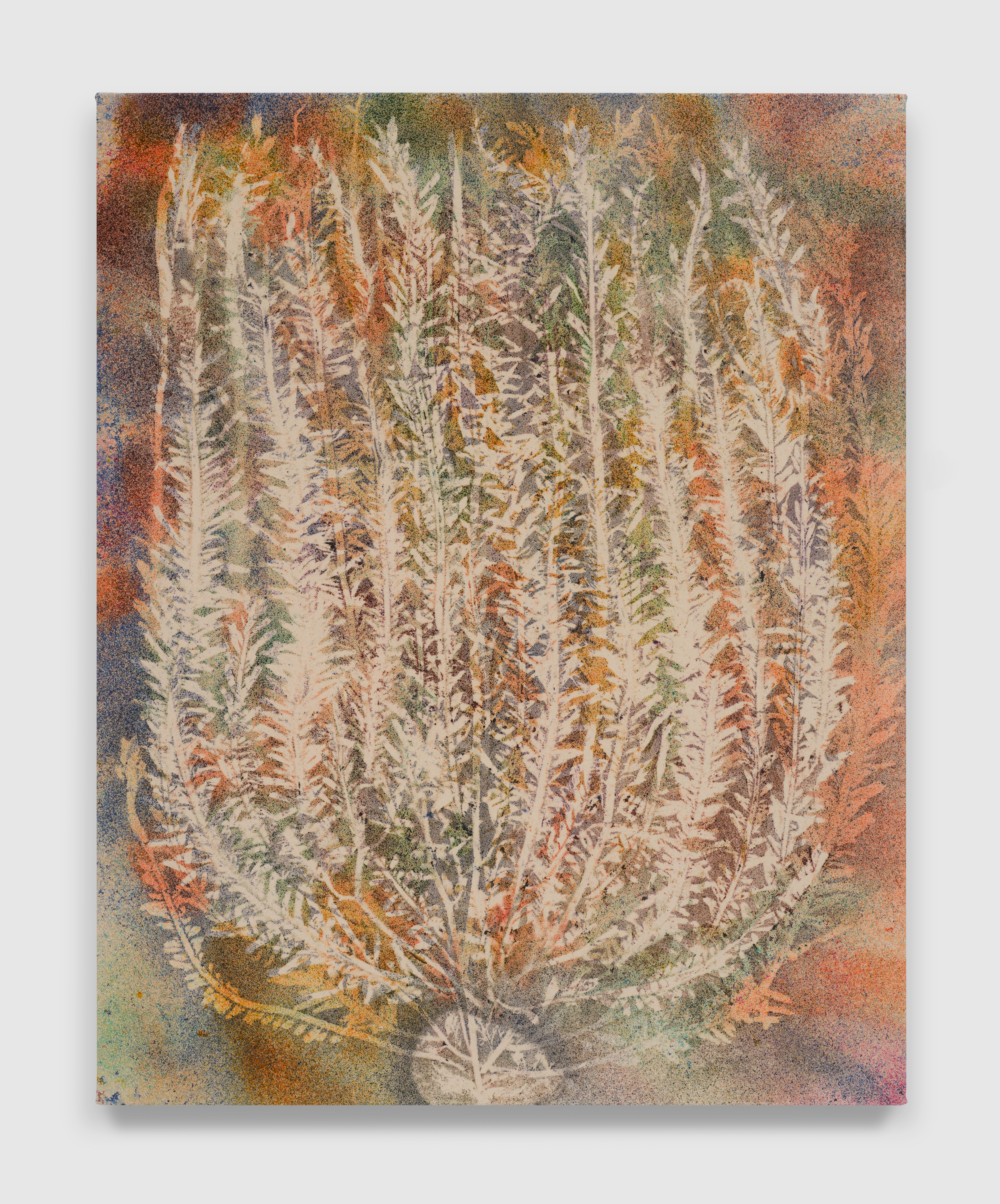 Oeuvre d'art de Sam Falls, Montana de Oro (2024)